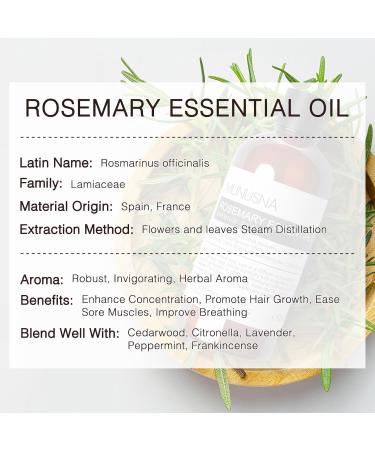 Lemongrass Essential Oil and Rosemary Essential Oil for Aromatherapy Diffusers Candle Soap Making - Buy Online on GoSupps.com