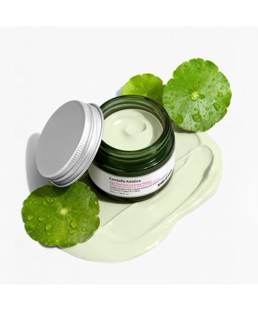 HELBR Cica-Infused Color Corrector - All-in-One BB Cream & Tinted Moisturizer for Sensitive Skin Calms Redness for a Natural Even Tone Fair to Medium (1 Count)