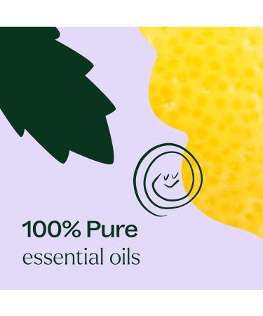 Plant Therapy Quiet Cough KidSafe Essential Oil Blend 30 mL - 100% Pure Therapeutic Grade for Kids International Shipping Available - Buy Online on GoSupps.com