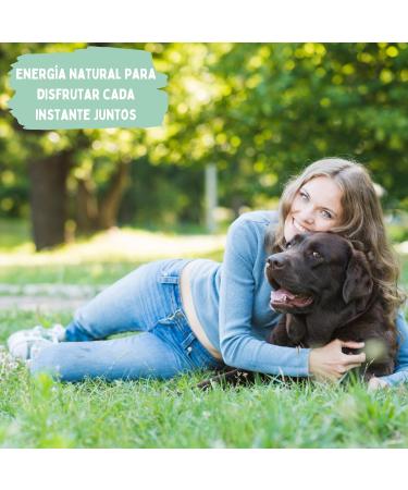 Wet Dog Food | Dog Cans (6 x 400g) Wet Dog Food | Food for Large Dogs | Natural Dog Food | Dog Food in Bulk - Buy Online on GoSupps.com