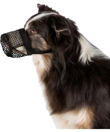 Buy TRIXIE Poisoned Bait Protection - Durable Black Polyester (XS14) | International Shipping Available - Buy Online on GoSupps.com