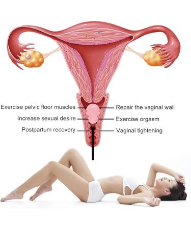 Yoni Egg & Cone Exercise Device | Strengthen Pelvic Floor Muscles | Crystal Massage Tool for Women | 4-Piece Fitness Set - Buy Online on GoSupps.com