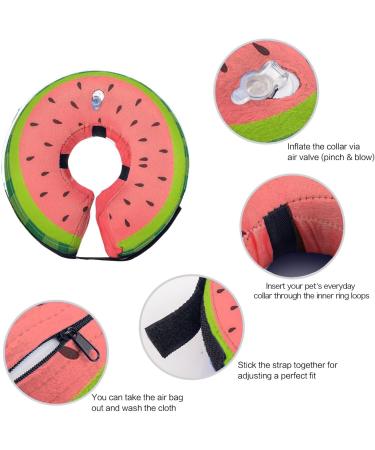 Ducomi Inflatable Dog & Cat Hinges - Comfortable Recovery & Freedom of Movement | Prevent Scratches & Bites (Watermelon M) - Buy Online on GoSupps.com