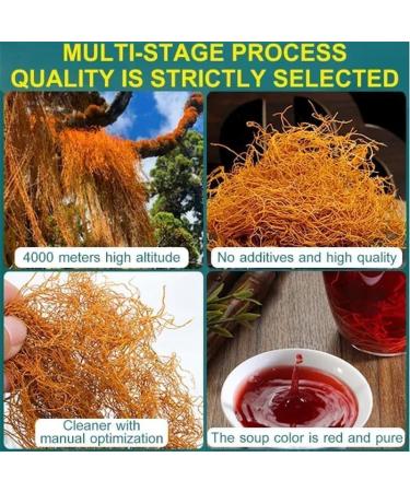 Golden Silk Red Snow Tea Senusto Red Snow Tea Natural Red Snow Tea Tibetan Plateau Red Snow Tea Unique Chinese Tea for Women and Men (1pcs) - Buy Online on GoSupps.com