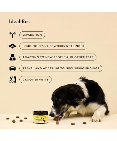 Rescue Natural Dog Calming Chews with Botanicals - Soothing Support for Separation, Fireworks, Storms & Travel - Buy Online on GoSupps.com
