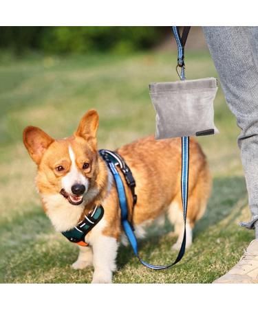 Buy Tigoadt Dog Treat Bag with Hip Clip | Portable Training Clicker & Leash Pocket - Ideal for Outdoor Dog Training (Gray) - Buy Online on GoSupps.com