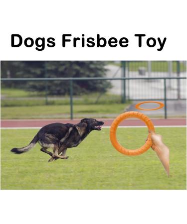 Qeeroyo Dog Fitness Ring | Frisbee Toy for Small Medium & Large Dogs | Durable Bite Ring & Flying Disc (18cm Orange) - Buy Online on GoSupps.com