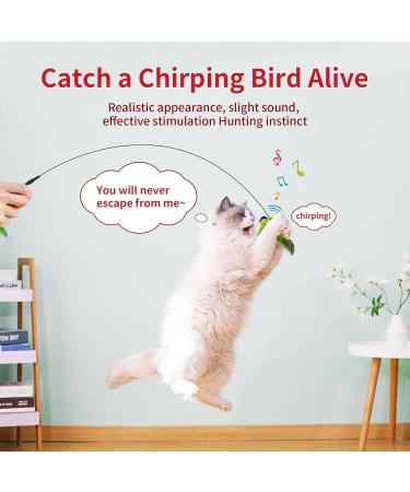 Tohdnc Interactive Cat Bird Toy with Cat Stick Simulation Flying Birds for Indoor Kittens Engaging Spring-Activated Playtime - Buy Online on GoSupps.com