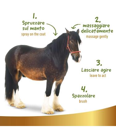 Natural Dry Shampoo for Horses - 500ml | Quick & Effective No-Rinse Cleaning | Suitable for All Manes - Linea 101 - Buy Online on GoSupps.com