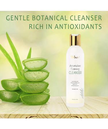 Deluvia Antioxidant Foaming Daily Facial Cleanser - Hydrating & Gentle Face Wash for Sensitive Dry Skin | Moisturizing Cleanser for Teens Kids Women & Men (8 fl oz - Buy Online on GoSupps.com