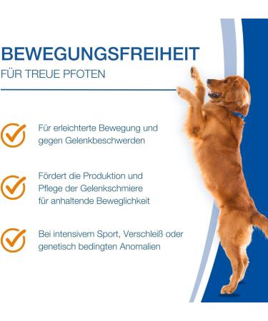 Nutrilabs Canicox HD Journey Tablets for Dogs - 50 Pieces with MSM Chondroitin Hyaluronic Acid & Glucosamine - Healthy Dietary Chews for Joint Support - Buy Online on GoSupps.com