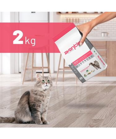 Avantis Pet Cats Adult Cat Food - 2 kg - Easily Digestible with Fish Chicken and Cereals - 100% Complete and Balanced Dry Food - Buy Online on GoSupps.com