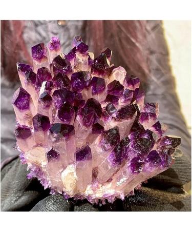 Natural Crystal Rough New Find Purpl Phantom Quartz Beautiful (Size : 400g) - Buy Online on GoSupps.com