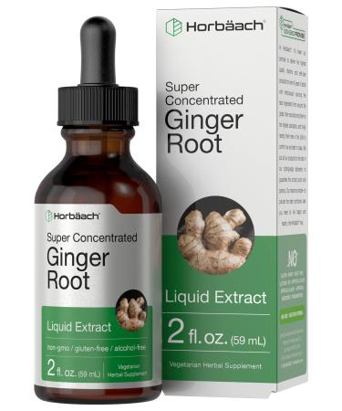 Ginger Root Extract | 2 oz | Alcohol Free Supplement | Super Concentrated | Vegetarian, Non-GMO, Gluten Free Liquid | by Horbaach