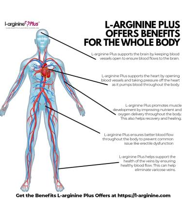L-arginine Plus Supplement | 5110mg L-arginine & 1010mg L | 13.4 oz Bottle - Buy Online on GoSupps.com