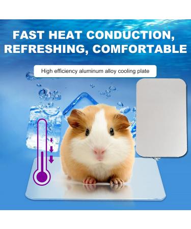 ULTECHNOVO Rabbit Cooling Plate Travel Accessories Dog Bed Guinea Pig Blanket Summer Cooling Plate Small Animals Hamster Pad Puppy - Buy Online on GoSupps.com