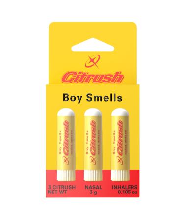 Boy Smells Citrus Sniffer Nasal Stick Menthol Citrus Aroma Inhaler Plant-Based Scent Stick for Daily Refresh Aromatherapy Stick for Adults 3 Pack