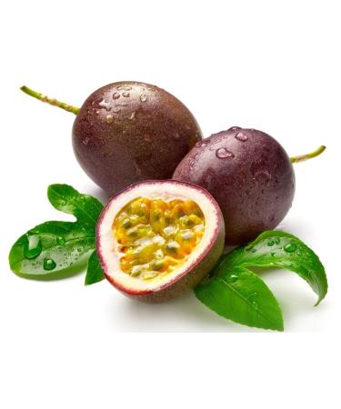 Island Essence - Pacific Ocean Passion Lotion 8.5oz - Organic Vegan Skincare from Hawaii - Buy Online on GoSupps.com