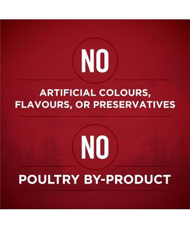 Purina ONE Tender Cuts True Instinct Wet Dog Food in Gravy Variety Pack 2 Flavours - 368 g Can (6 Pack) Pet Food - Buy Online on GoSupps.com