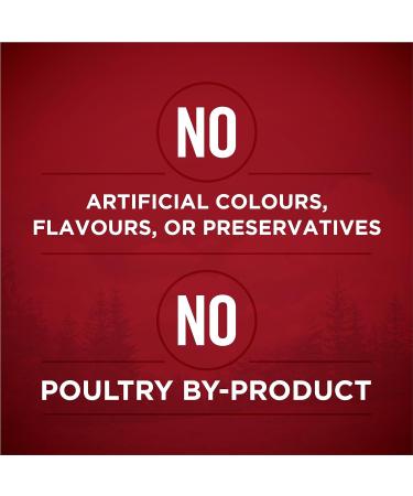 Purina ONE Tender Cuts True Instinct Wet Dog Food in Gravy Variety Pack 2 Flavours - 368 g Can (6 Pack) & Classic Ground Wet Dog Food Variety Pack 2 Flavours - 368 g Can (6 Pack) Pet Food+ Dog Food 368 g Can - Buy Online on GoSupps.com