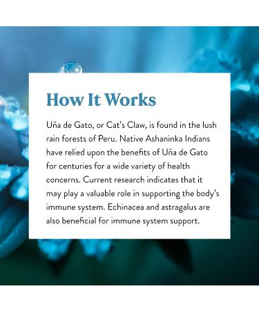 Nature's Sunshine Una de Gato (Cats Claw) 100 Capsules - Immune System Support & Digestive Health Herbs - Buy Online on GoSupps.com