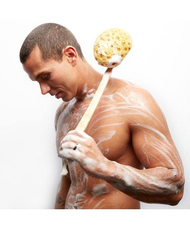 basd Natural Body Wash - Cr me Br l e Scented | Organic, Vegan, Hypoallergenic - 8oz - Buy Online on GoSupps.com