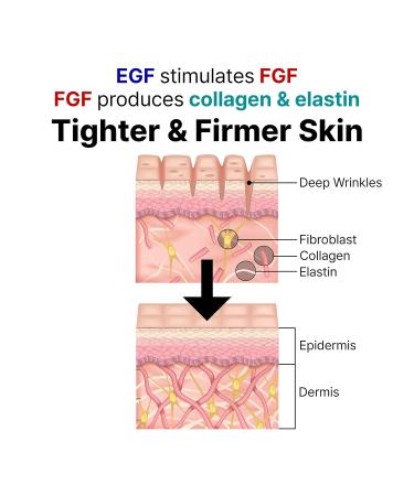 LANBELLE Ultra Lifting EGF FGF Ampoule Serum w/Centella Asiatica and Hyaluronic Acids & Celdyque Advanced Retinol Pro Serum Duo Set Improves Skin Balance Anti-Aging Skin-Smoothing Korean Skincare - Buy Online on GoSupps.com
