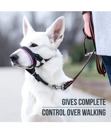 Goodboy Dog Halter with Seat Belt Anti-Pull Padded Harness for Small Medium & Large Dogs Size 4 Pink Includes Training Instructions & Durable Black Nylon - Buy Online on GoSupps.com