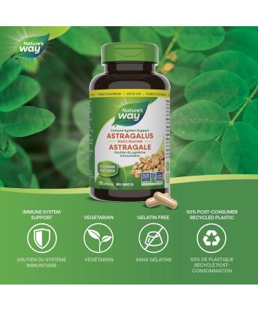 Nature's Way Astragalus Root Iummune System Support Value Size 180 Vegetarian Capsules 180 count (Pack of 1) - Buy Online on GoSupps.com