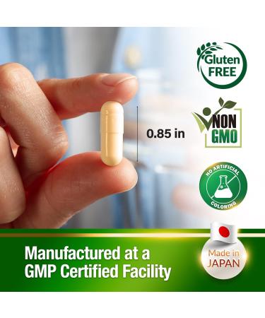 AFC Japan Ultimate Liver Care Liver Cleanse Detox Formula for Fatty Liver Amino Acid L-Ornithine Liver Health Support Supplement 90 capsules - Buy Online on GoSupps.com