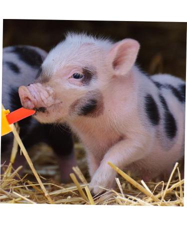 POPETPOP 10pcs Goat Pacifier Puppy Pacifier for Small Dogs Small Animal Milk Drink Sheep Feeders Tool 3X3X6CM Red - Buy Online on GoSupps.com