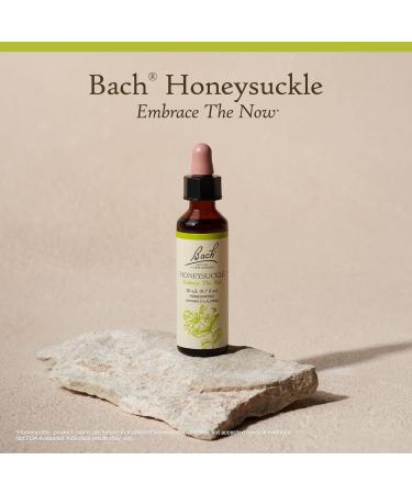 Bach Original Flower Remedies Honeysuckle - Embrace The Now - Natural Homeopathic Flower Essence for Emotional Balance - Vegan Gluten Free Sugar Free - 20mL Dropper - Buy Online on GoSupps.com