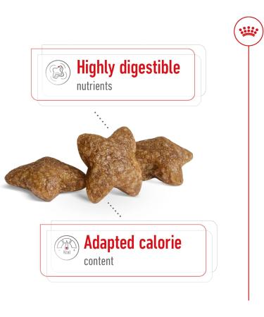 Royal Canin Mini Adult Dog Food 0.8 kg Variety 800 g (Pack of 1) - Buy Online on GoSupps.com