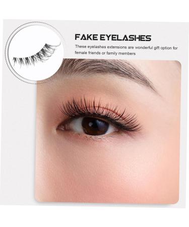 minkissy 5 Pairs False Lashes Fake Eyelashes Makeup Supplies Eye Lashes Eyelashes Natural Look False Eyelash Lash Strips Fake Lashes Eye Lash Extension Bulk Cosmetics Artificial Fiber - Buy Online on GoSupps.com