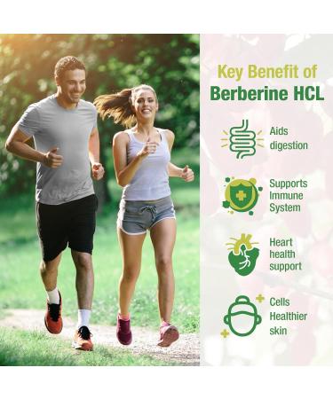 Berberine Supplement 1500mg - Premium Berberine HCl 97% Purity Berberine Plus Pure Ceylon Cinnamon High Potency Berberine for Men Women Non-GMO Vegan 2Pack 90 Count (Pack of 2) - Buy Online on GoSupps.com