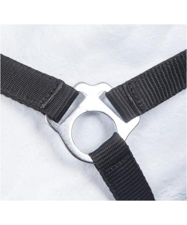 Buy RL24 Nylon Halter BASICLINE in Black for Thoroughbreds Durable and Affordable International Shipping - Buy Online on GoSupps.com
