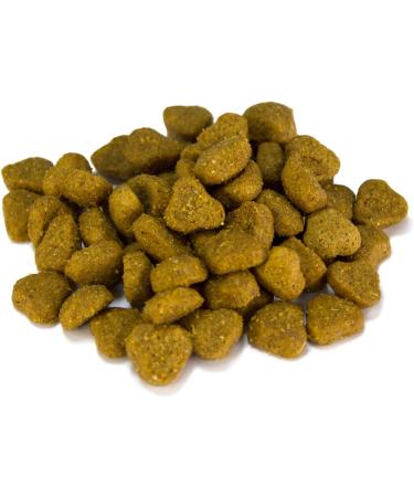 ARQUIVET Adult - Dry Dog Food for Adult Dogs - Lamb and Rice - 3 kg - Dry Dog Food - High Digestability Gastro-Ointers - Buy Online on GoSupps.com