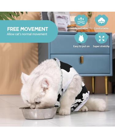 Avont Katzenbody: Post-Op Recovery Suit for Cats - Leakage Protection for Abdominal Wounds & Skin Diseases | International Shipping Available - Buy Online on GoSupps.com