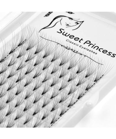 12rows 120pcs 10D Premade Volume Fans Eye Lashes Extensions Thickness 0.07mm D Curl Black Soft Individual False Eyelashes Makeup Fake Lashes Cluster 8-18mm to Choose (16MM)