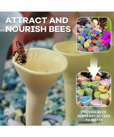 Bee Cups for Thirsty Bees Garden - Colorful Bee Insect Drinking Cups Thirsty Pollinators Need a Drink Bees Need Safe Places to Drink! Bee Cups Collect a Teaspoon Of Water (Colorful) - Buy Online on GoSupps.com