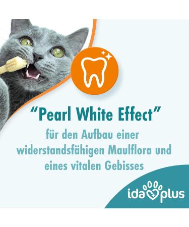 Ida Plus Dental Care Mini Sticks for Cats - Anti-Plaque Treats Freshens Breath Cleans Teeth - 80 Delicious Pieces - Buy Online on GoSupps.com