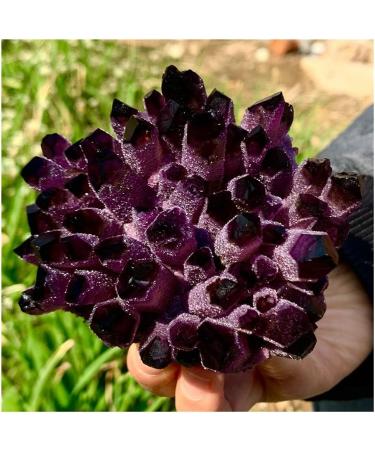 Natural Amethyst Quartz Specimen Beautiful (Size : 350-400g) ERTEYIN (Size : 350-400g) - Buy Online on GoSupps.com