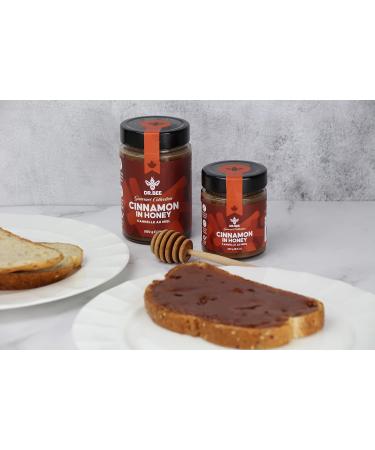 Cinnamon in Honey - Dr. Bee Gourmet Collection Organic Cinnamon Pure Canadian Honey (500g) - Buy Online on GoSupps.com