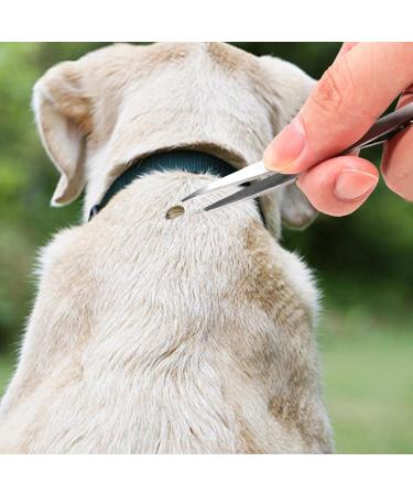 Dtt Tick Remover Tools Set - Efficient Safe Stainless Steel Pweezer Tick Remover for Humans&Pets Fleas Lice Tick Removal Tools Protector for Cats/Dogs/Horses Present Set 3 - Buy Online on GoSupps.com