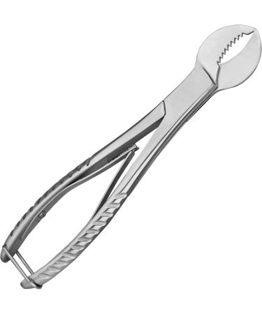 Shehadeh Stainless Steel Plaster Tongs & Scissors - Rustproof 20 cm - International Shipping Available - Buy Online on GoSupps.com