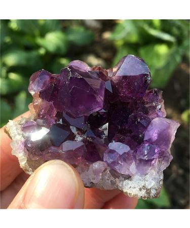 Amethyst Rough Stone Mix Random Dream Amethyst Quartz Crystal Cluster Specimen (Color : 180-200g Size : Mix Random) (Color : 100-130g Size : Mix Random) Mix random 100-130g - Buy Online on GoSupps.com