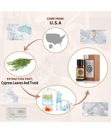Premium Organic Cypress Oil 10ml - Natural Therapeutic Essential Oil for Skin Hair Diffusers & Soaps | Akarz - Buy Online on GoSupps.com