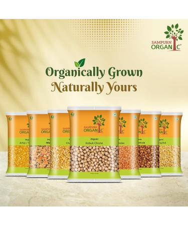 Sampurn Organic Ragi Whole 500 g USDA Certified17.63 Ounce - Buy Online on GoSupps.com