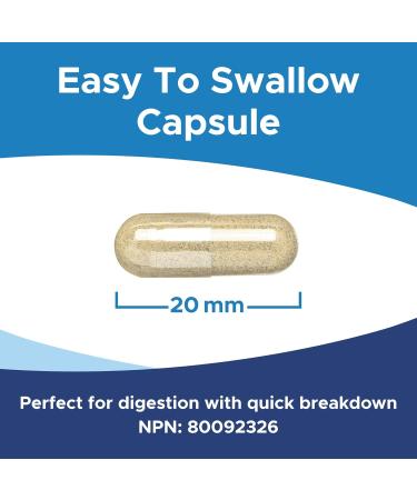 MapleLife Reishi Mushroom 500mg 90 Capsules Nature Antioxidant that Helps Increase Energy and Support Immune Health - Buy Online on GoSupps.com