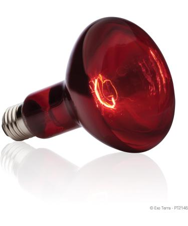 Exo Terra Infrared Basking Spot Lamp 150W R30 E27 Heat Spot for Reptiles | International Shipping Available - Buy Online on GoSupps.com